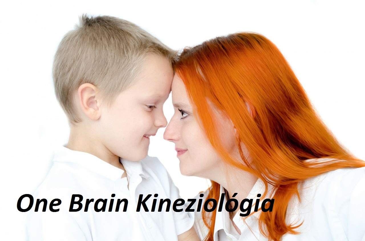 one-brain-kineziologia